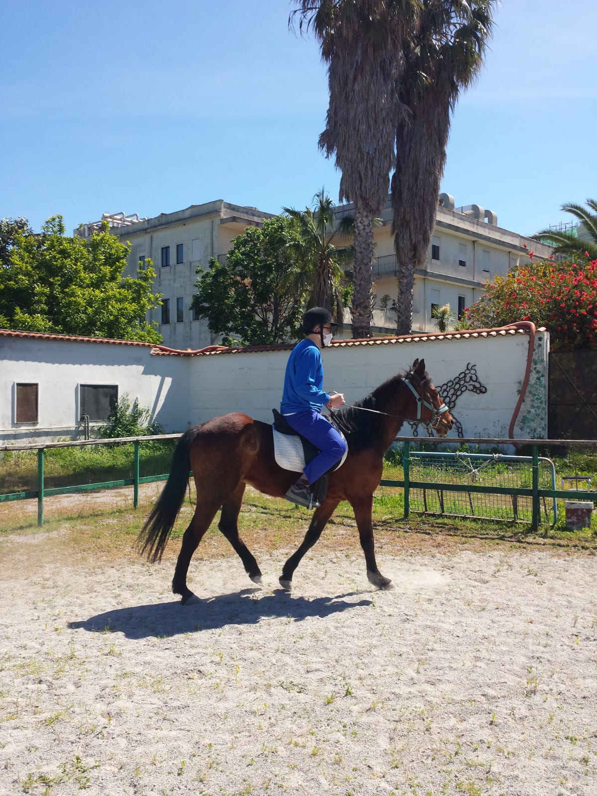 Terapia con il Mezzo del Cavallo