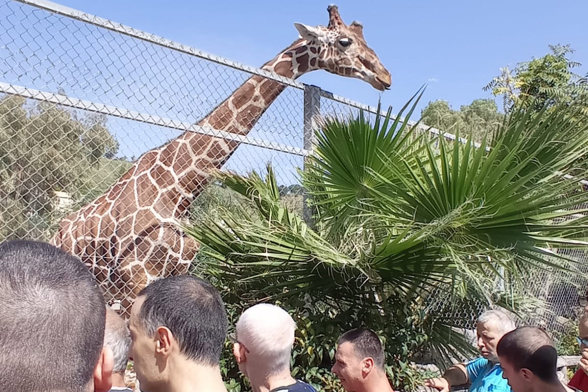 Visita allo zoo di Napoli