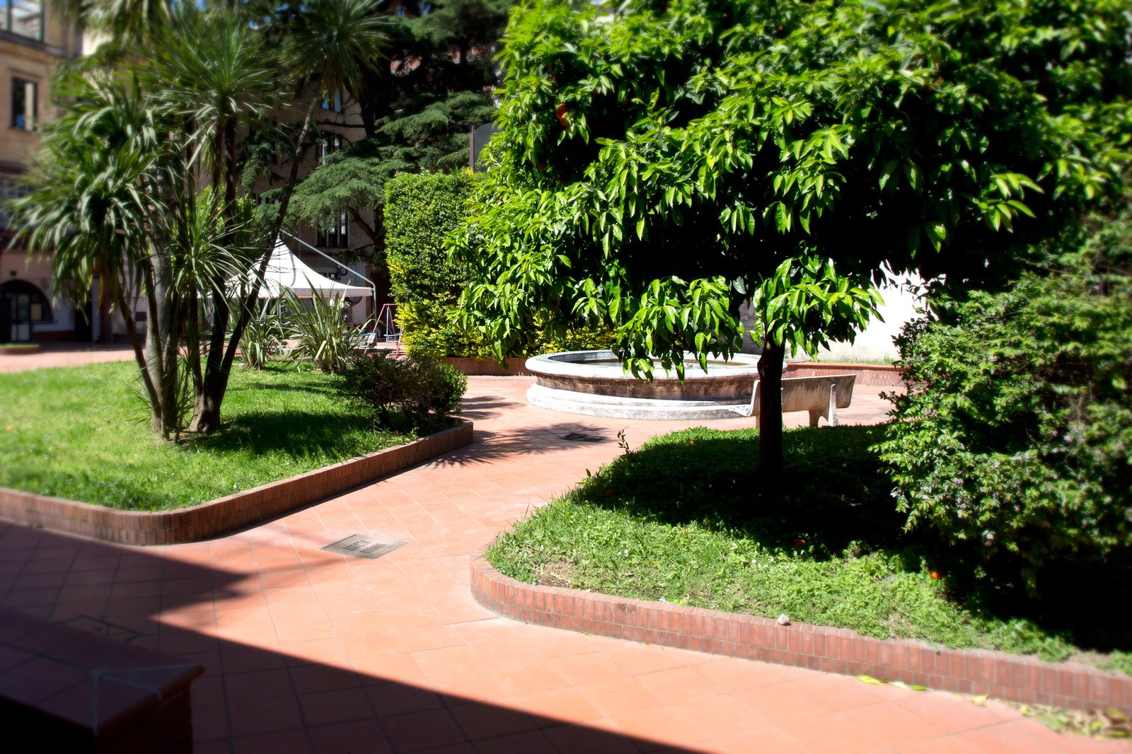 RSA Disabili Villa Silvia — spazi e attività riabilitative (2)